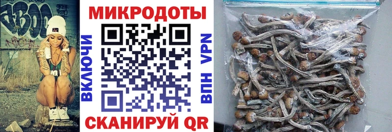Псилоцибиновые грибы прущие грибы  Самара 